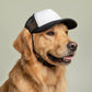 Dogfather Pet Trucker Hat | UV Protection Dog Cap with Adjustable Chin Strap