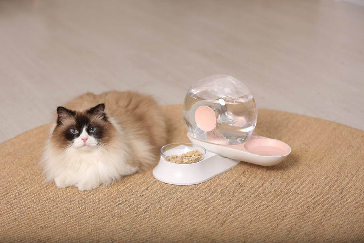 Auto-Myst Automatic Gravity Pet Water Dispenser - 2-in-1 Filtered Water & Food Bowl System with 2.8L Capacity - The Max & Rex Collection