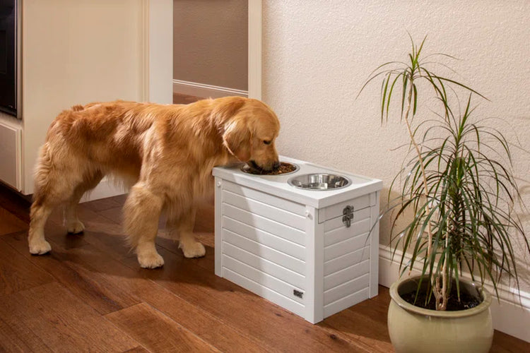 Southwick ECOFLEX Elevated Dog Feeder