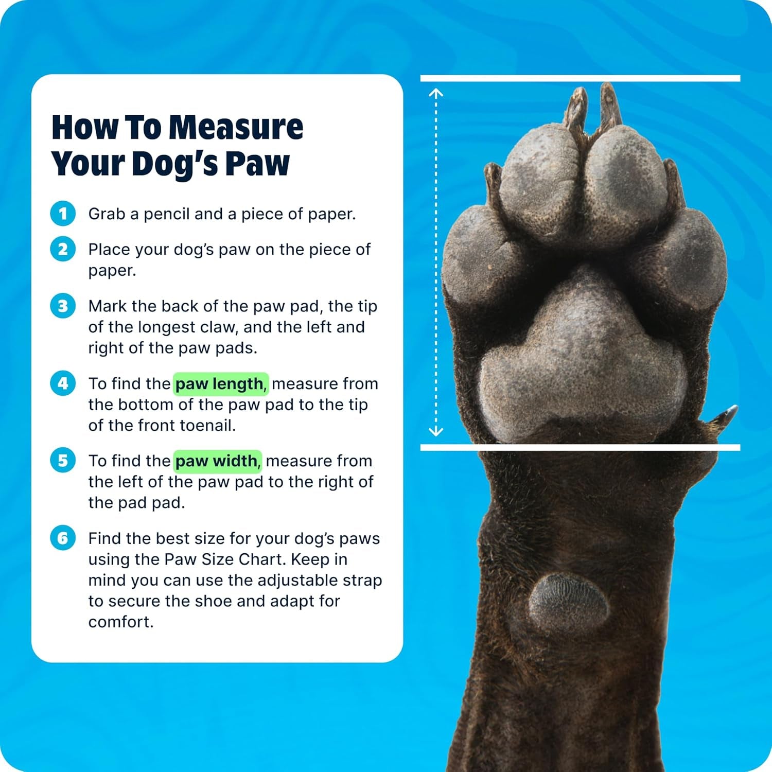 Barkbox Aqua Crocs Dog Shoes – Set of 4 Glow-In-The-Dark Dog Booties with EVA Foam, Adjustable Strap & Non-Slip Sole – Comfortable Paw Protection for Large Breeds (51-80 Lbs)