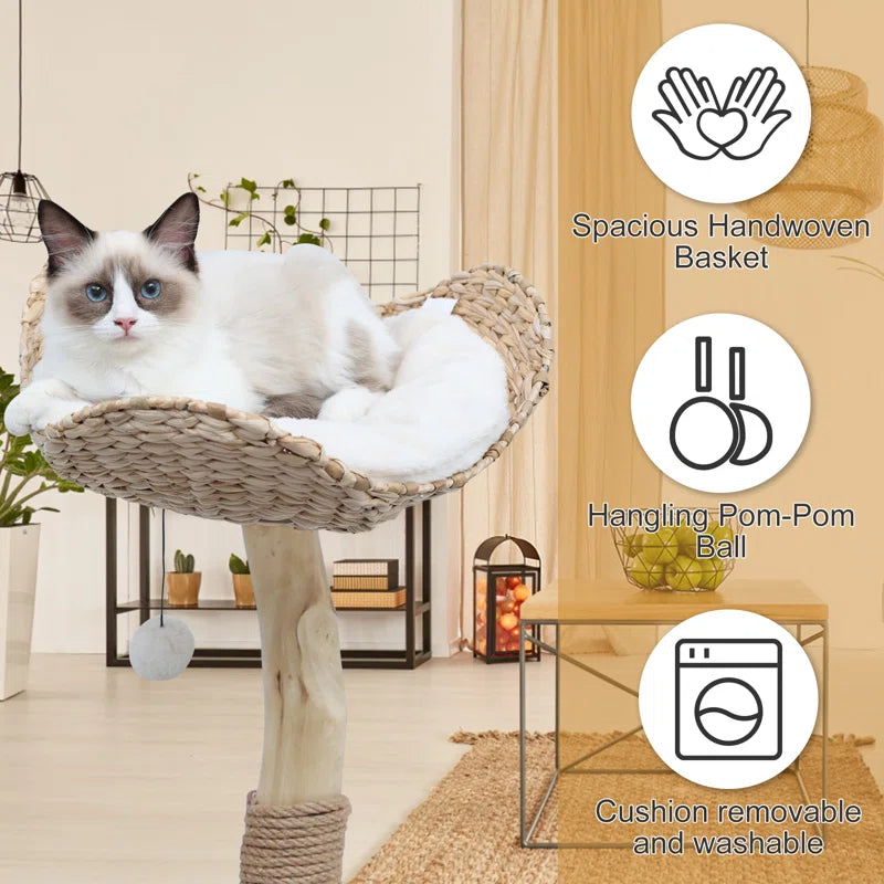 Kelston 40.5" Cat Tree for Indoor Small Cats, Woven Cattail Fabric