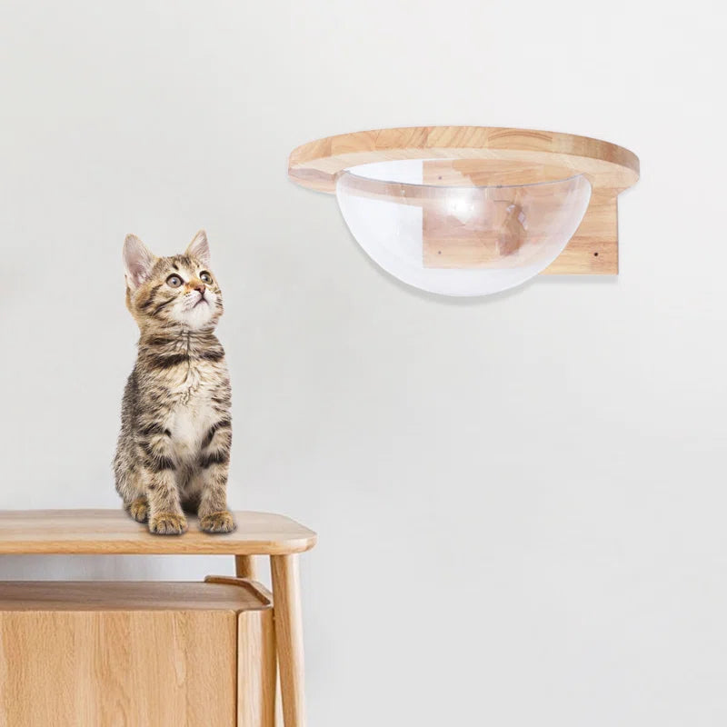 Averly Space Capsule-Style Transparent Cover Wall Mounted Cat Bed