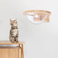 Averly Space Capsule-Style Transparent Cover Wall Mounted Cat Bed