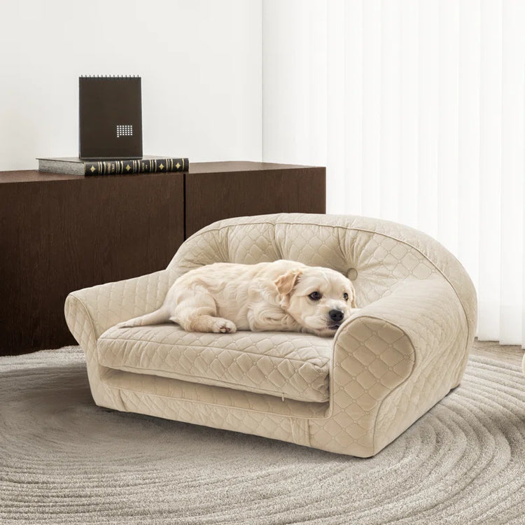 Man Friend Comfort Orthopedic Pet Bed