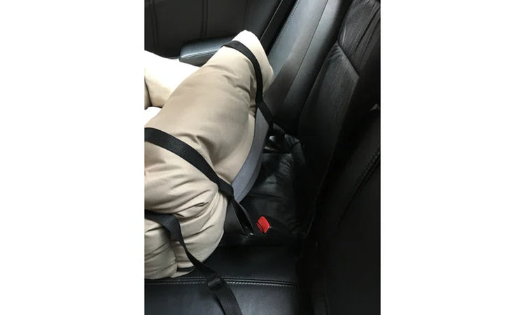 Sheard Seat Belt Compatible Travel Pet Bed
