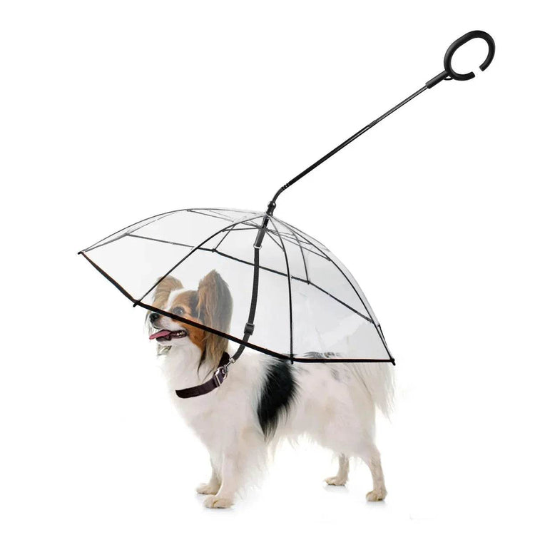 Dog Umbrella - The Max & Rex Collection