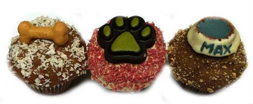 Birthday Mini Pupcakes With Decorations - The Max & Rex Collection