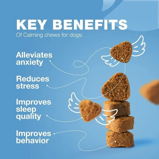 Hemp Calming Chews for Dogs (Beef Flavor)