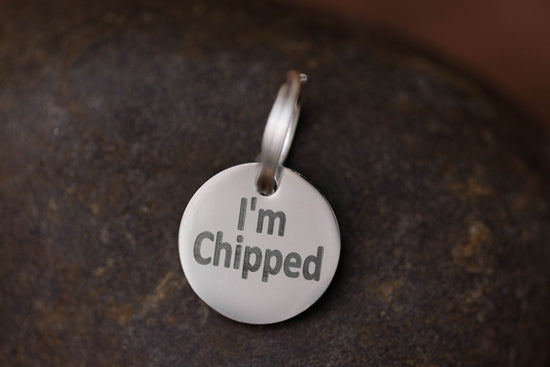 Stainless Steel Pet Tag – “MICROCHIPPED” or “I’m Chipped” Safety Charm - The Max & Rex Collection