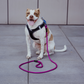 Patented Magnetic Dog Leash - One-Hand Connect & Release