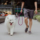 Patented Magnetic Dog Leash - One-Hand Connect & Release