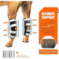 3-in-1 Long Rear Leg Hock Brace for Dogs – Rigid & Spring Inserts, Reflective Safety Straps (Pair)