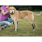 3-in-1 Long Rear Leg Hock Brace for Dogs – Rigid & Spring Inserts, Reflective Safety Straps (Pair)