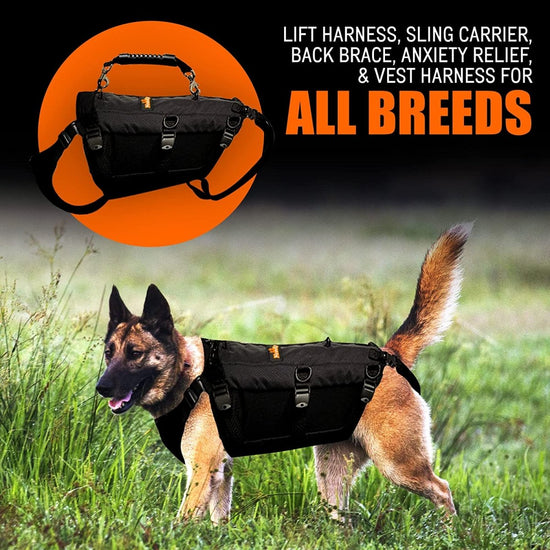 5-in-1 Full Body Lift Harness for Dogs – Sturdy Support for Front Legs, Rear Legs, Hips & Back