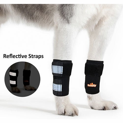 Front Leg Brace for Dogs and Cats – Medium Support Carpal Wrist Wrap with Reflective Straps (Pair)