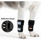 Front Leg Brace for Dogs and Cats – Medium Support Carpal Wrist Wrap with Reflective Straps (Pair)