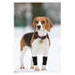 Front Leg Brace for Dogs and Cats – Medium Support Carpal Wrist Wrap with Reflective Straps (Pair)