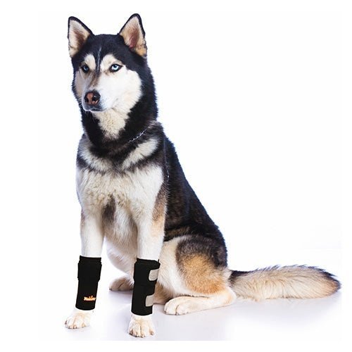 Front Leg Brace for Dogs and Cats – Medium Support Carpal Wrist Wrap with Reflective Straps (Pair)