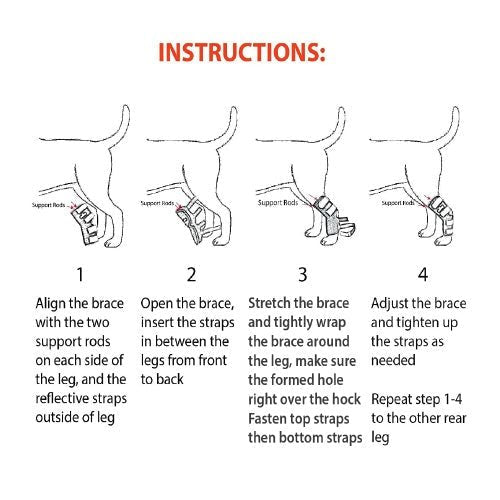 Instructions for using a dog leg brace with illustrations of a dog wearing the brace.