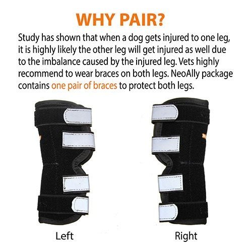 Pair of black and white dog leg braces with text explaining their use.