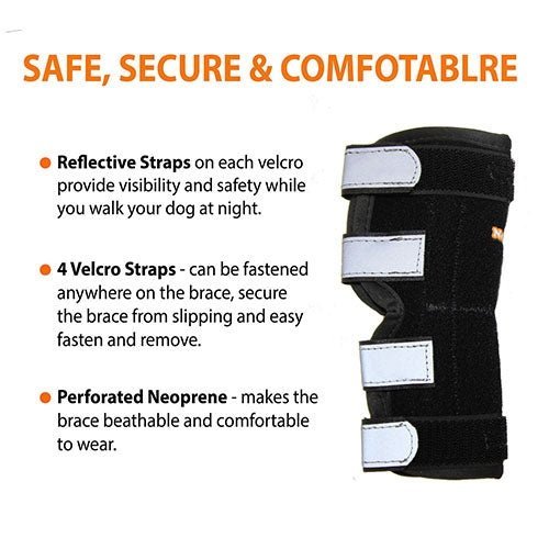 Black dog brace with reflective straps and text highlighting features on a white background