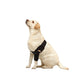 Elbow & Shoulder Support Brace for Dogs and Cats – Joint Compression Wrap for Mobility & Pain Relief