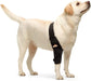 Elbow & Shoulder Support Brace for Dogs and Cats – Joint Compression Wrap for Mobility & Pain Relief