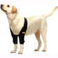 Elbow & Shoulder Support Brace for Dogs and Cats – Joint Compression Wrap for Mobility & Pain Relief