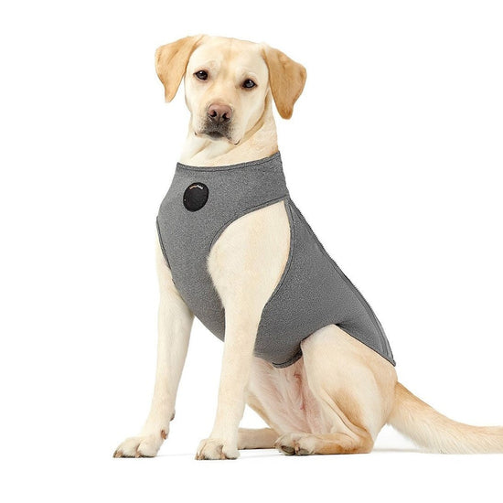 Surgical Recovery & Calming Vest for Dogs and Cats – Multi-Function Compression Suit with Zipper Closure