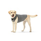 Surgical Recovery & Calming Vest for Dogs and Cats – Multi-Function Compression Suit with Zipper Closure