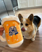 PAWTY BEER PLUSH DOG TOY