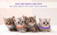 Pet Calm Collar