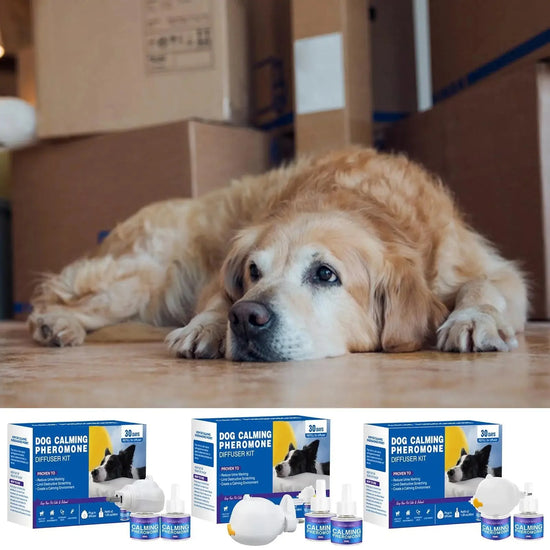 Paws & Relax Spa Set – Holiday Edition