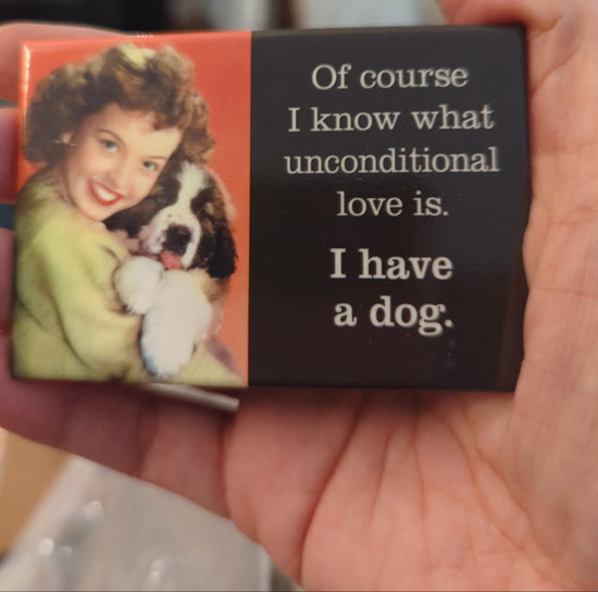 Magnet: Dog/cat themed funny & sarcastic fridge magnets