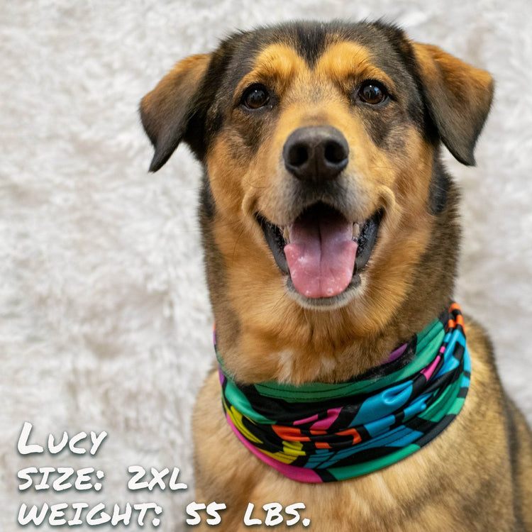 Zoomies Pup Scruff – Slip-On Dog Neckwear | No-Tie Bandana Alternative - The Max & Rex Collection